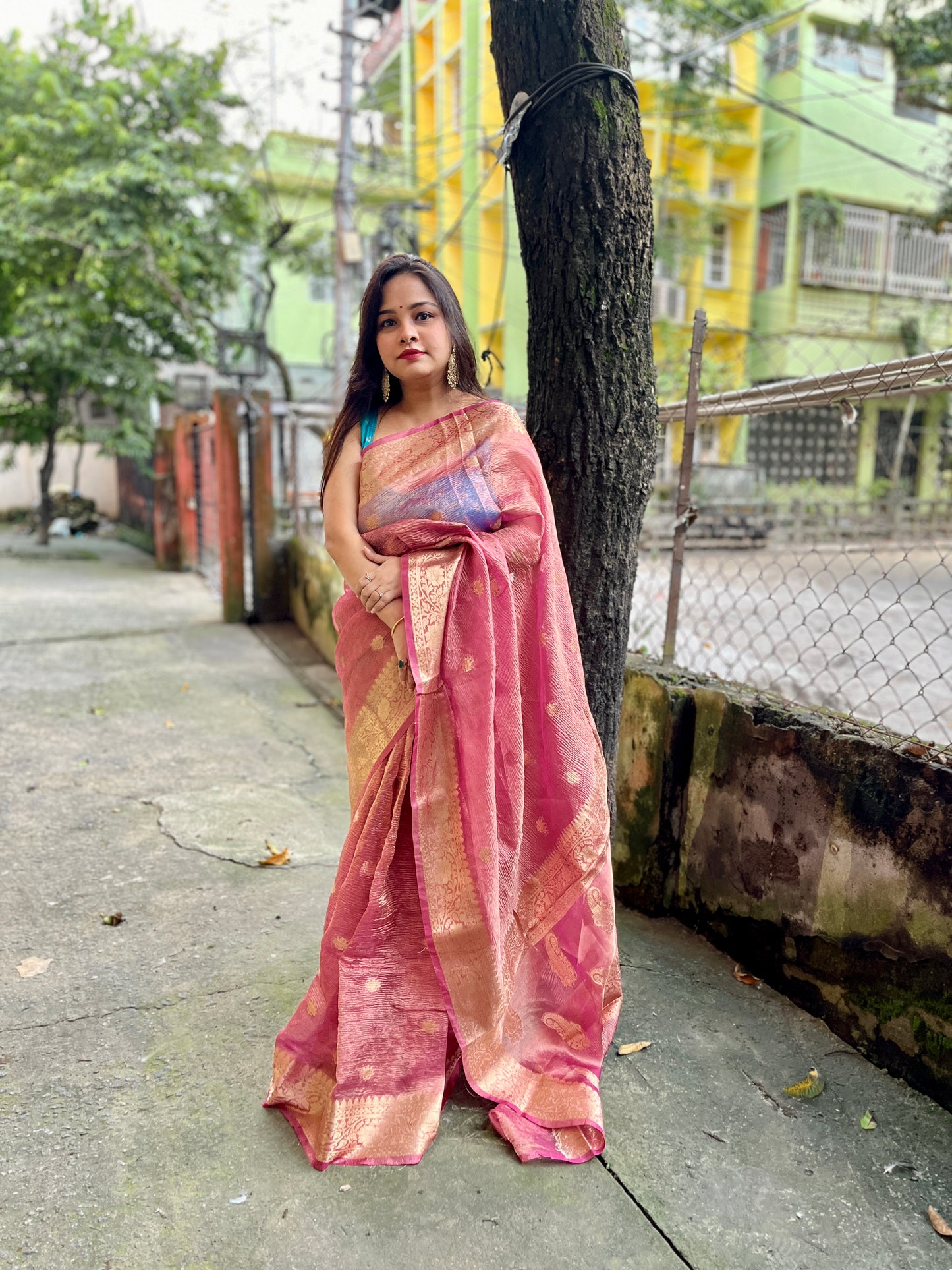 Crush Banarasi Tissue Saree (Light Peach)