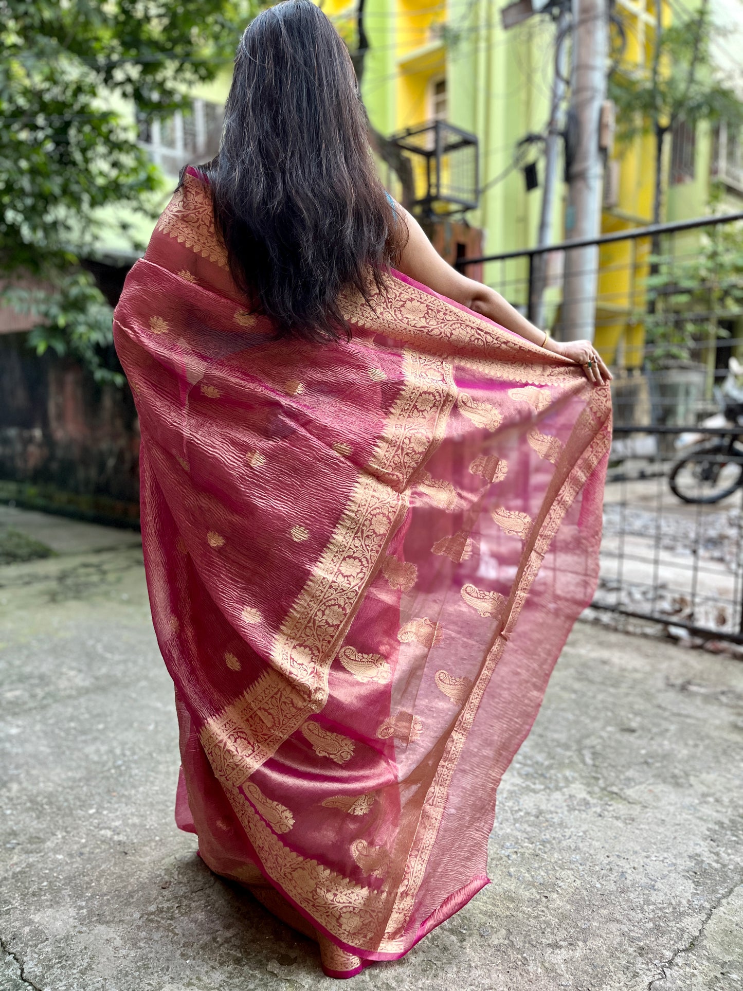 Crush Banarasi Tissue Saree (Light Peach)